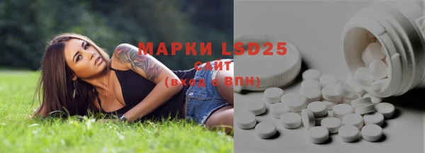 a pvp Белокуриха