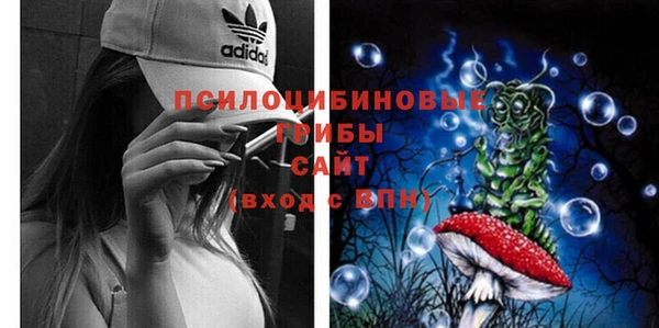 прущие крисы Белоозёрский