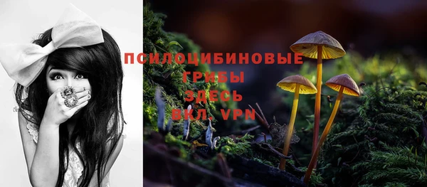 прущие крисы Белоозёрский